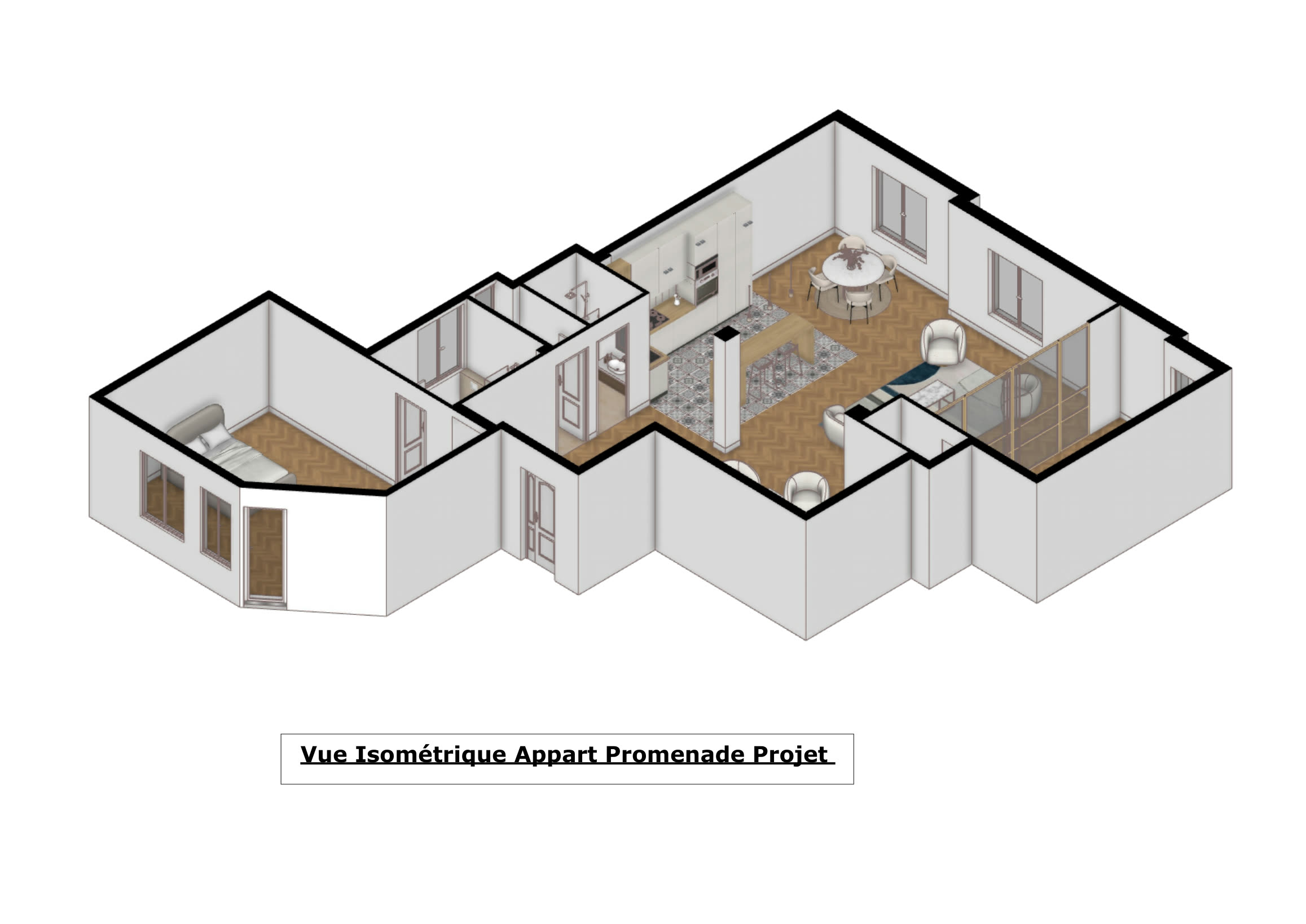 Vue isométrique meublée du projet